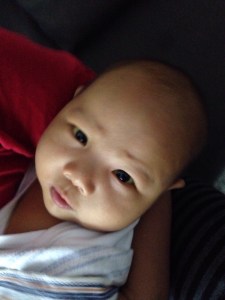 014d000061f254cac3069c8f5dc79147a06ec24831